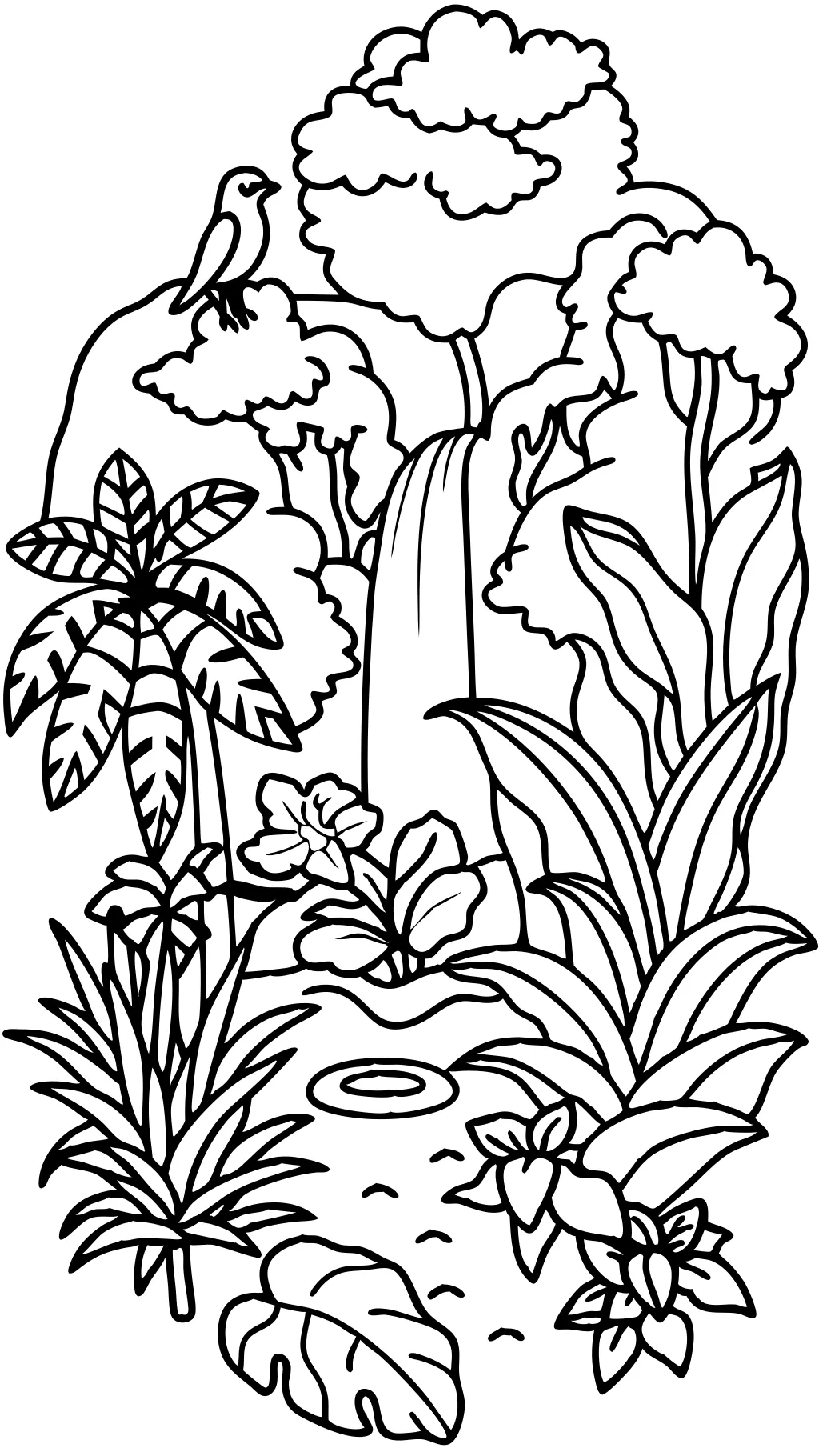 rainforest coloring pages